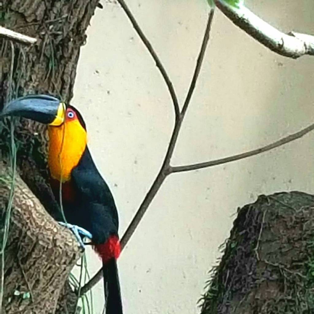 You’re a ‘birder’, you&nbsp;say?