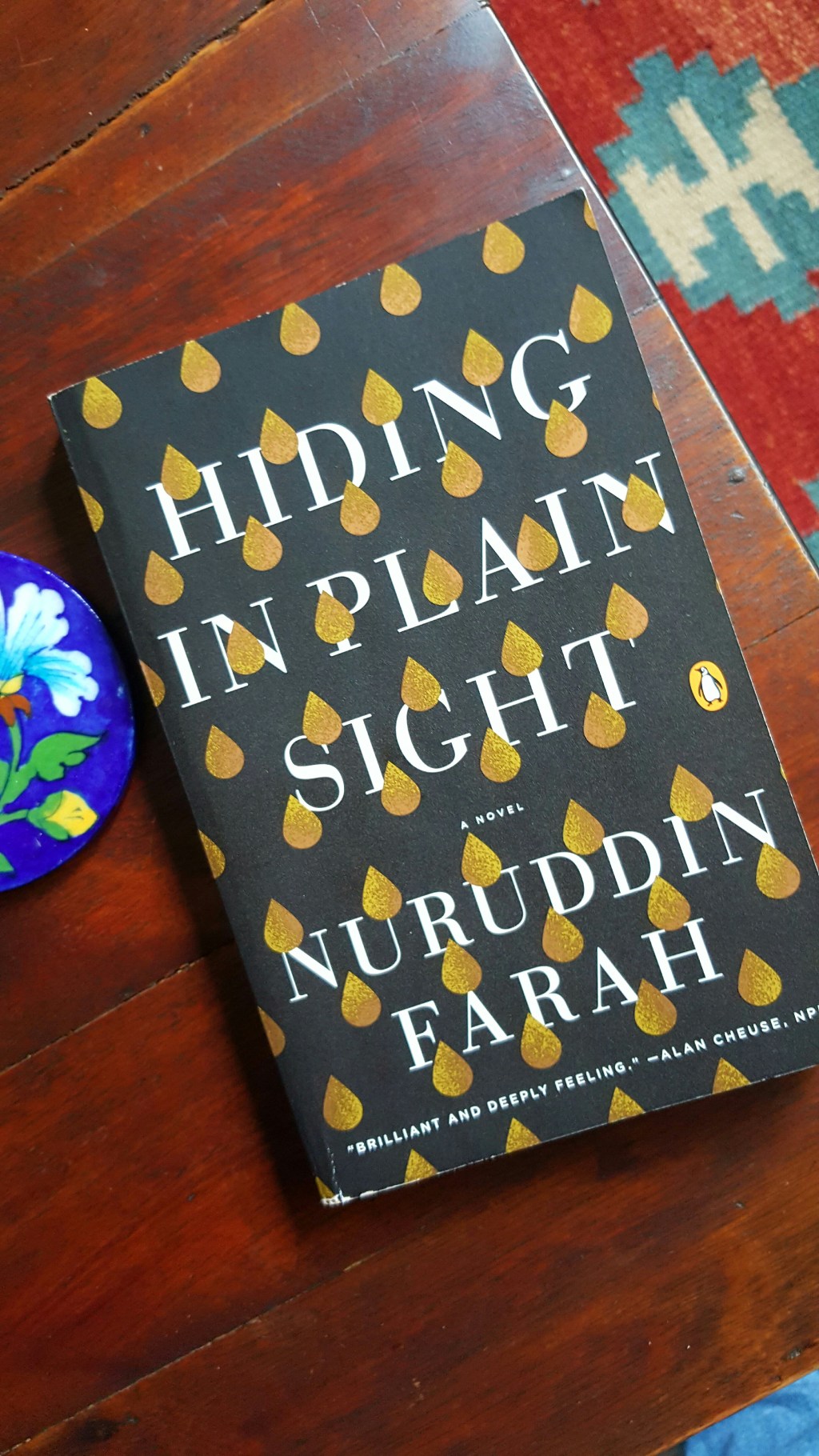 Book review: “Hiding in Plain Sight” by Nurrudin&nbsp;Farah