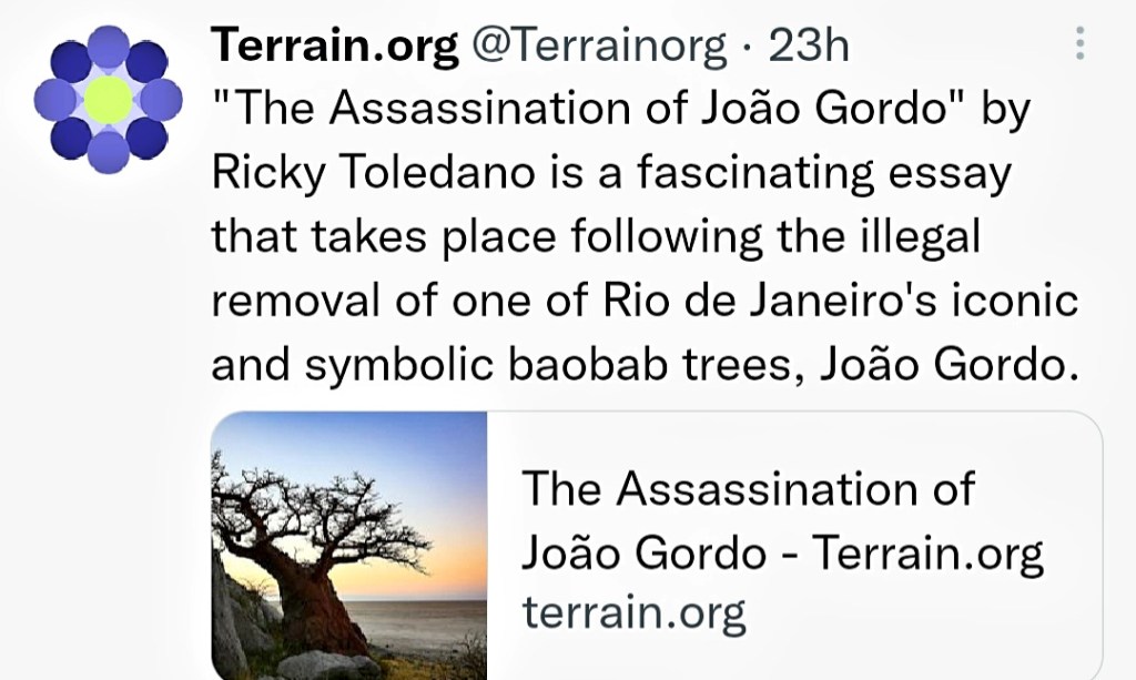 The Assassination of João&nbsp;Gordo